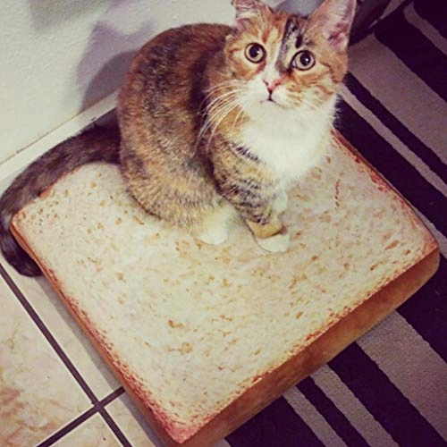 Pet Mat - 38.5x38.5x6.5cm Sponge