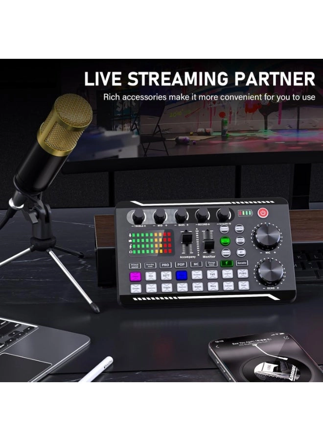 F998 - Live Sound Card + BM-800 - Condenser Mic