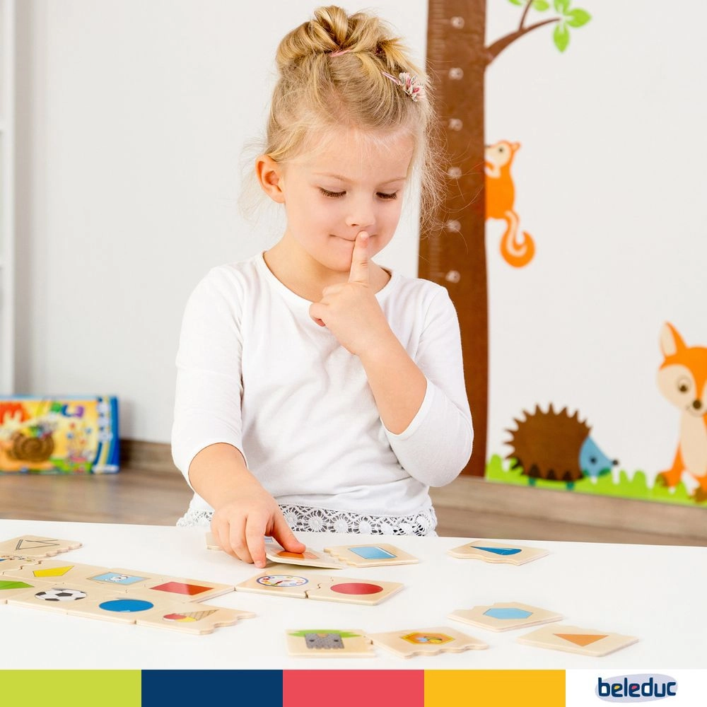 Cognito Matching Puzzle - 4 +