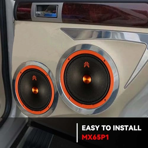 MX65P1 - 6.5 Inch Coaxial