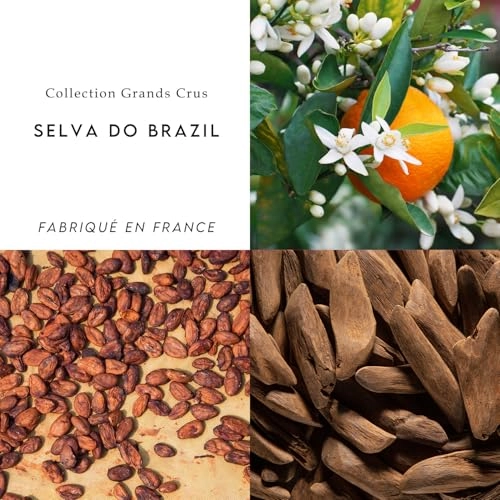 Selva Do Brazil Eau de Parfum 100ml