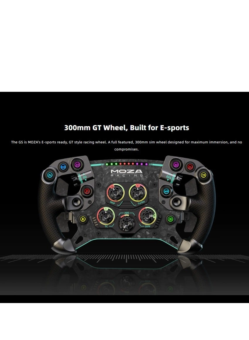 RS V2 Racing Wheel & Pedals