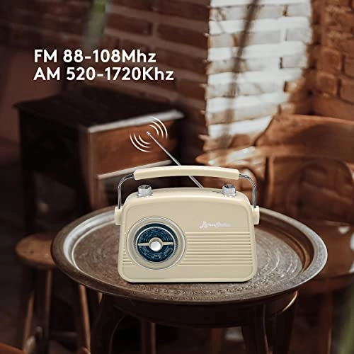 Portable Radio - AM FM