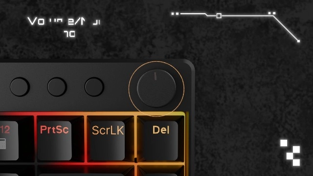 PDX226 - US/AR Wired