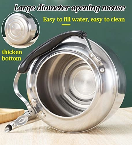Stovetop Induction Whistling Kettle - 5L