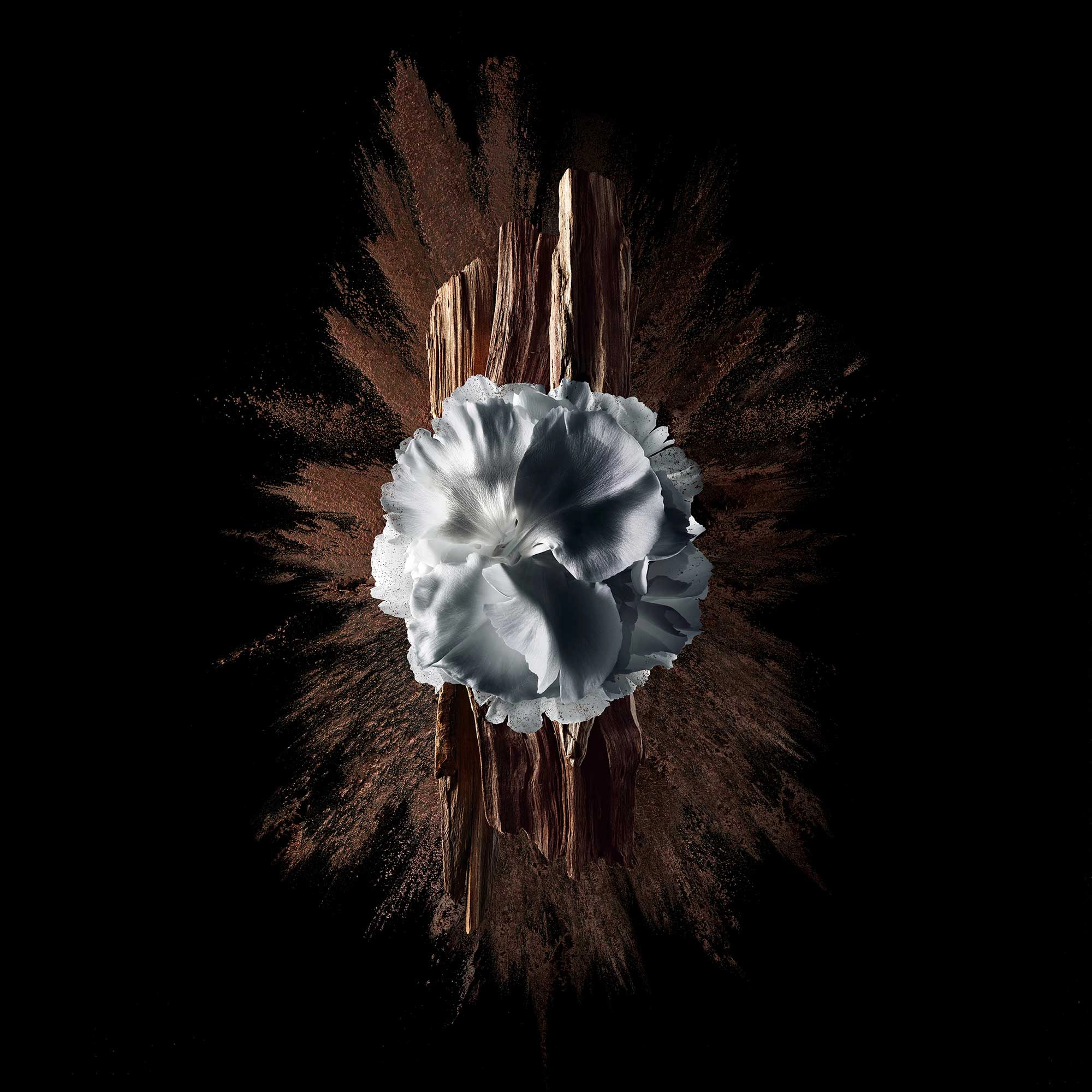 Gentleman Eau de Parfum - 100 ml