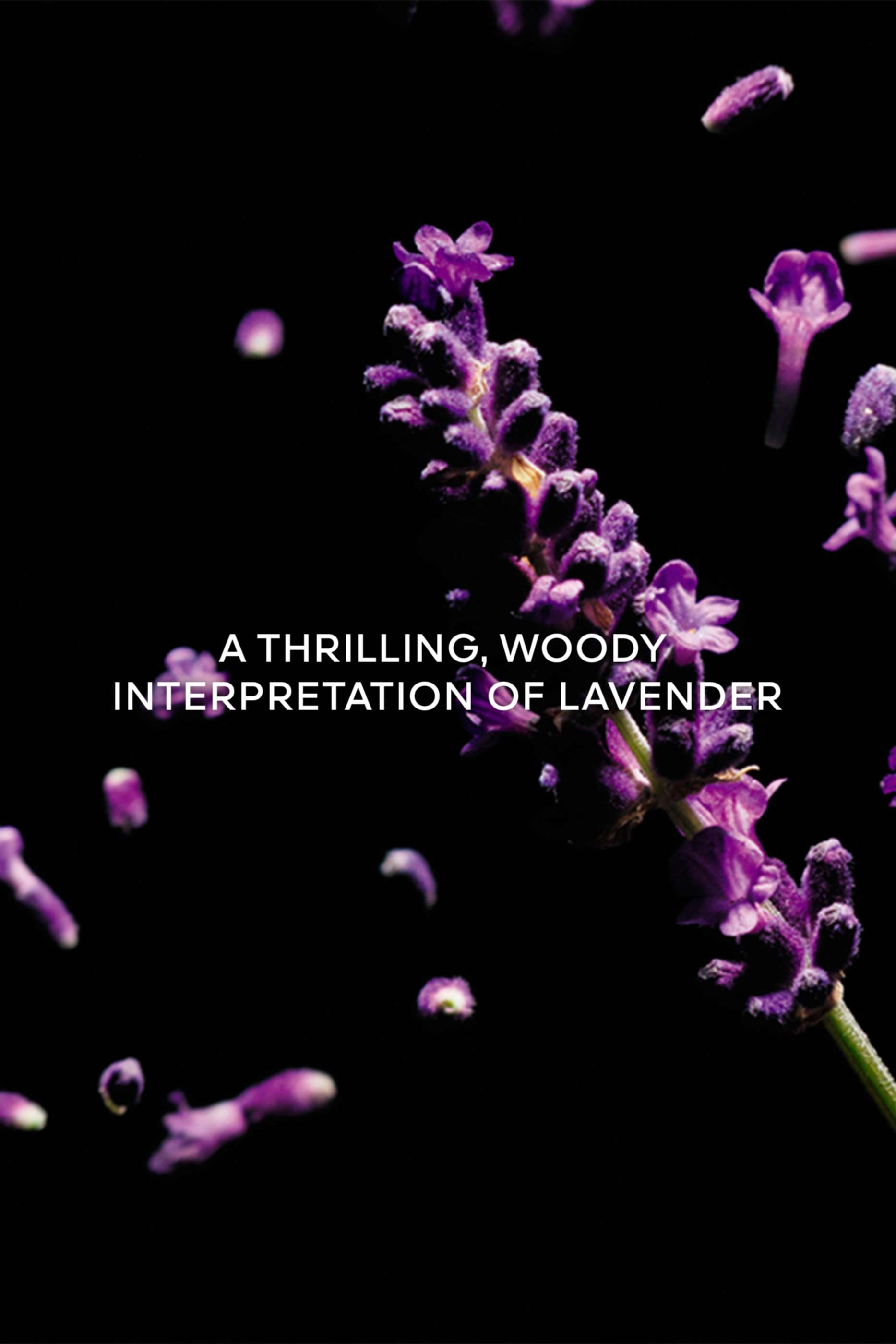 Frenchy Lavande Eau de Parfum 200ml