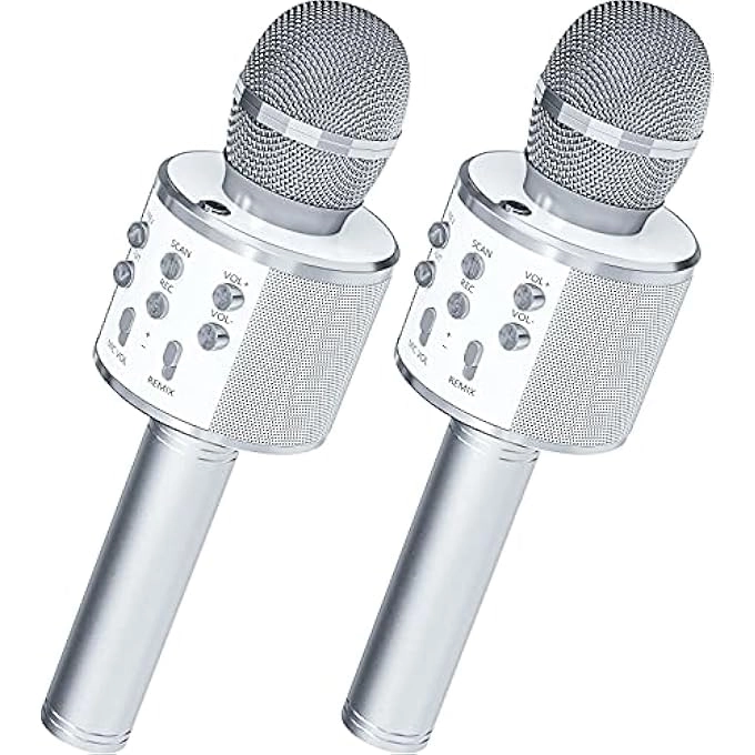 rayihni Karaoke Microphone Pack