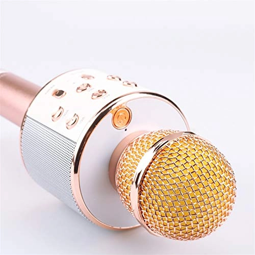 Portable Karaoke Microphone - 5W
