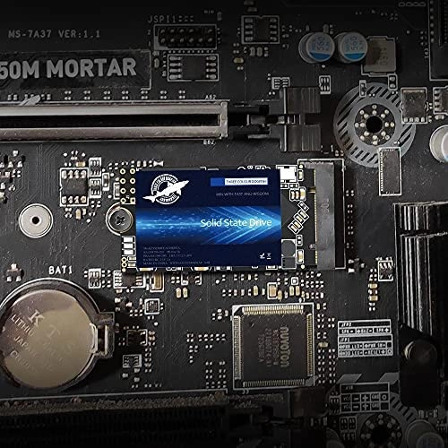 M.2 SATA SSD - 4000 GB M.2 2242