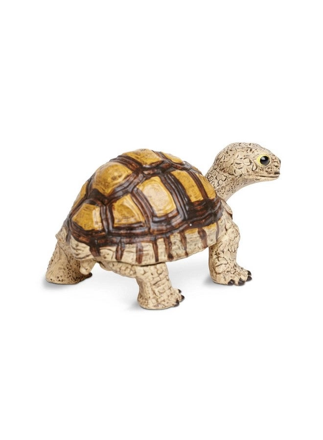 Incredible Creatures - Tortoise