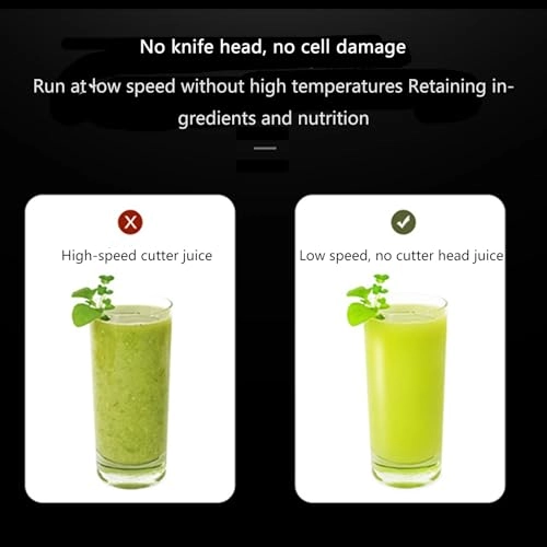 Juicer Machine - 250W