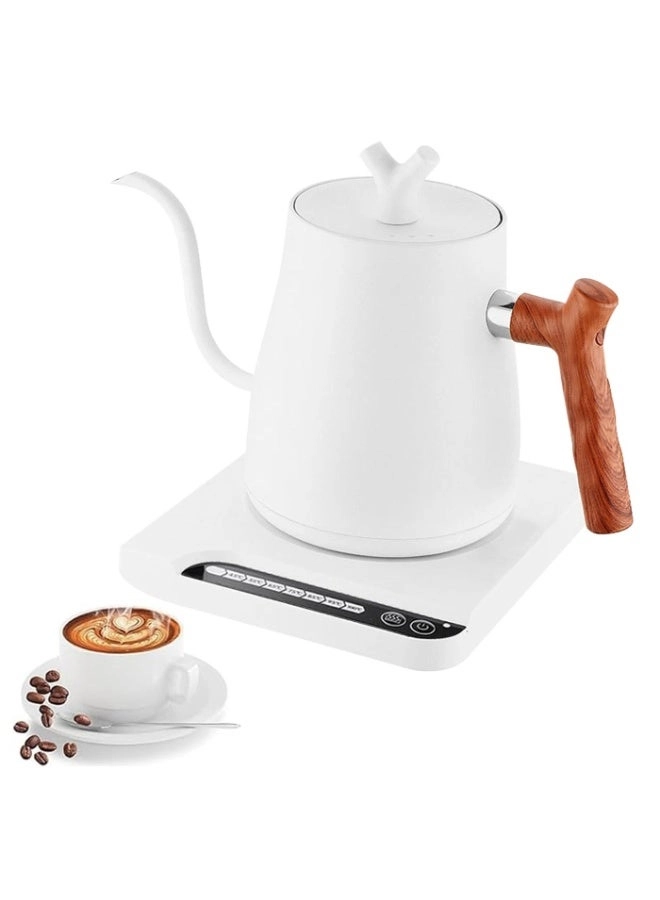 Perfin Gooseneck Stainless Electric Kettle
