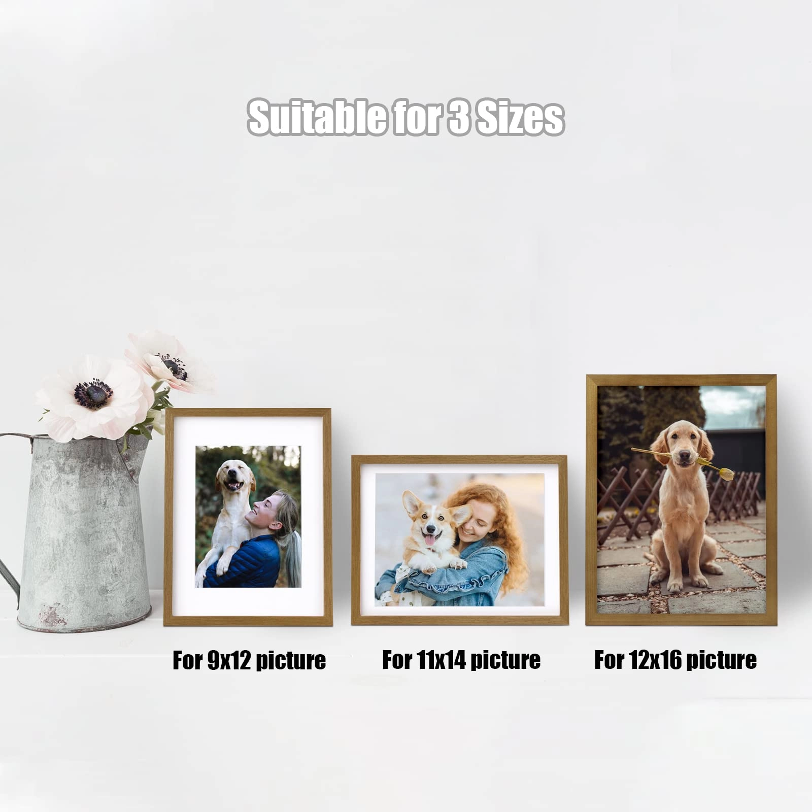 picture frames - 12x16