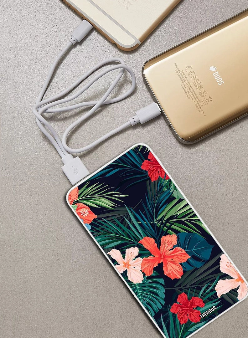 EX_PPBA178 - 10000 mAh