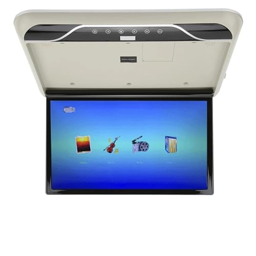 Roofmount LCD Monitor - 19in