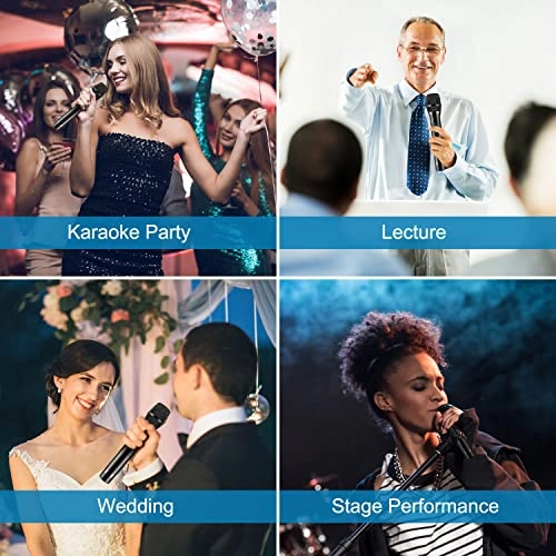 VW-022N XLR Microphone