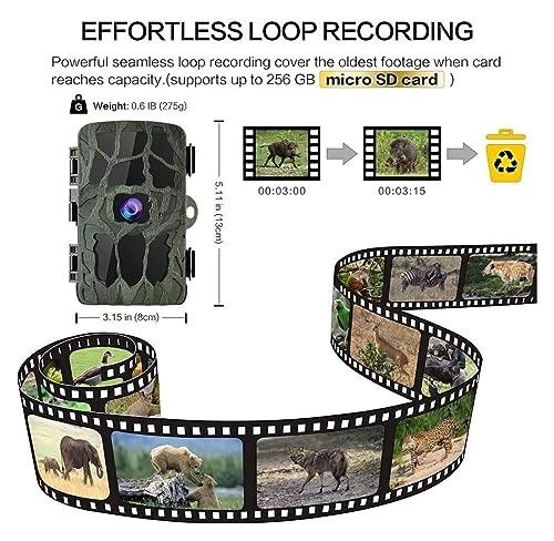 Wildlife Camera - 20MP