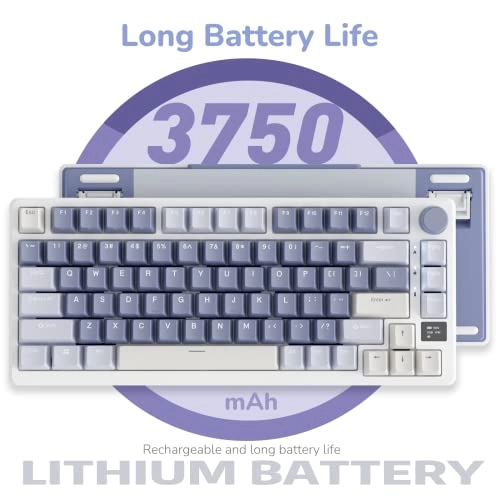 M75 - 75% Wired/Wireless