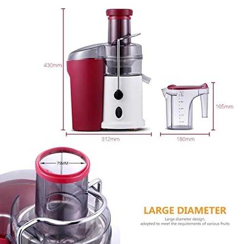 Slow Masticating Juicer Extractor - 700W 1000ml
