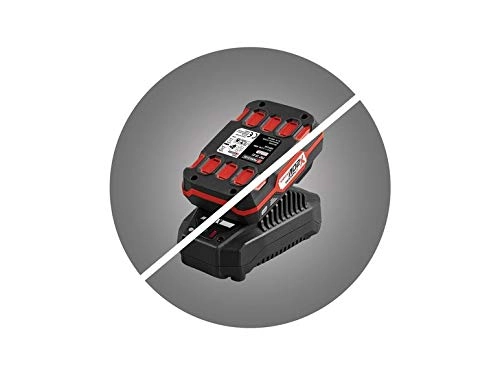 PABSP 20 Li X20V - 2 Amp Hours