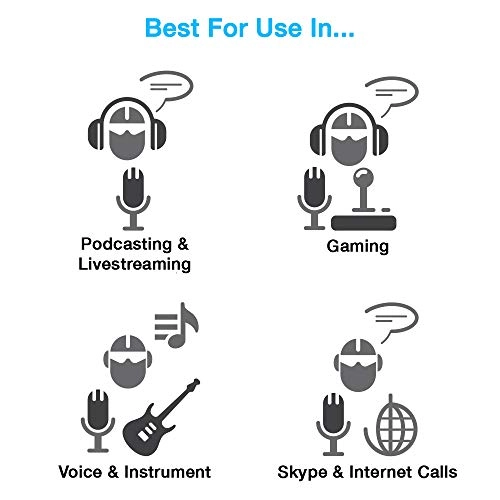 Matterhorn USB Microphone