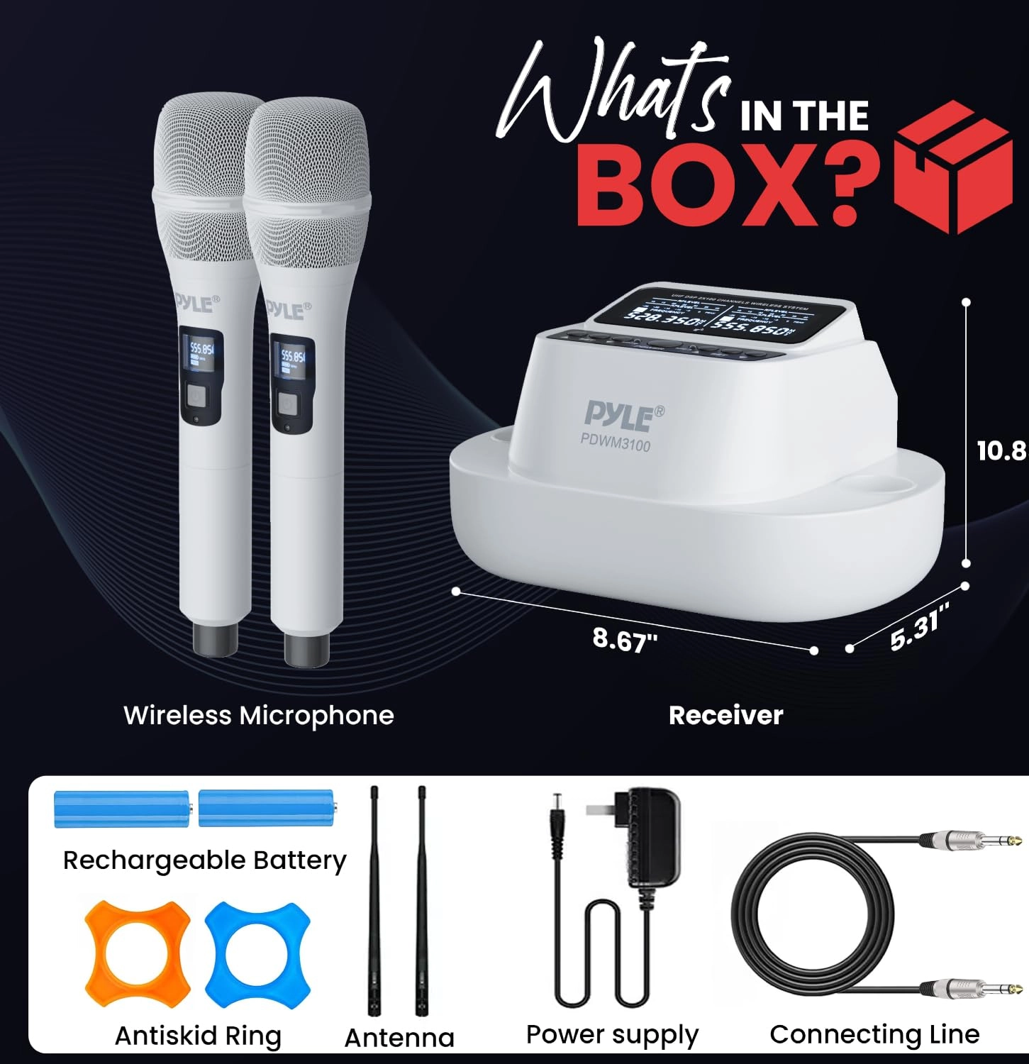 Karaoke Microphone Set - 2