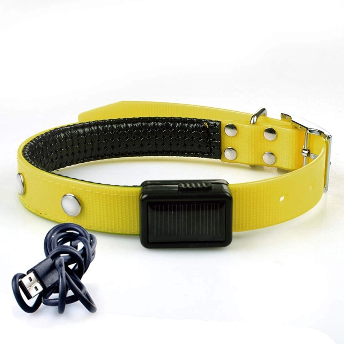 ZheXun Dog Collar - Solar charging (L) Dog