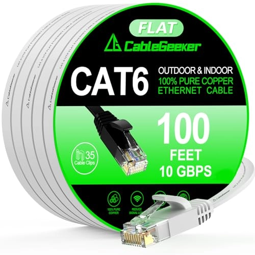 Cat 6 Ethernet Cable - 100 ft