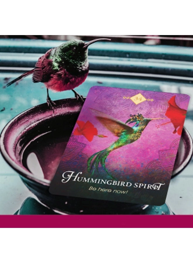 Spirit Animal Wisdom Cards