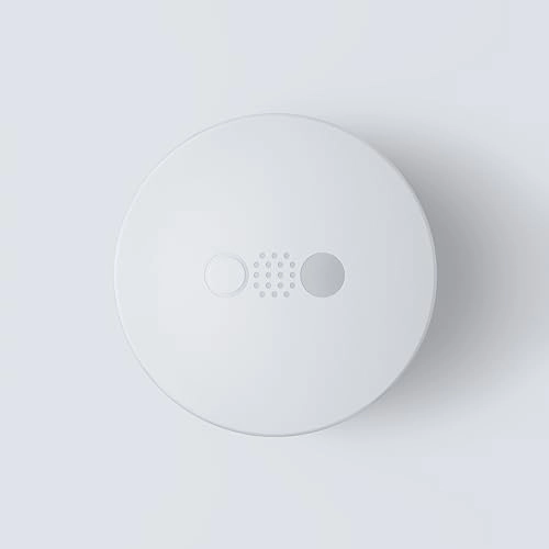 Buds Pro Wireless Earbud