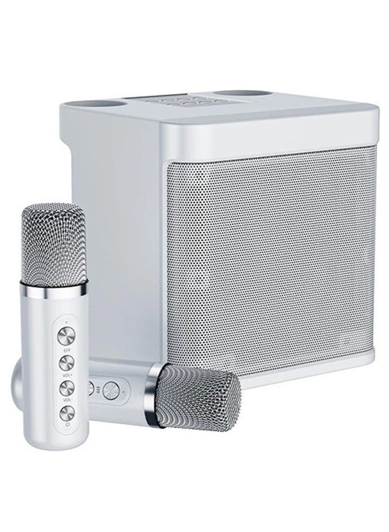 SD-508 - Dual Wireless Microphones