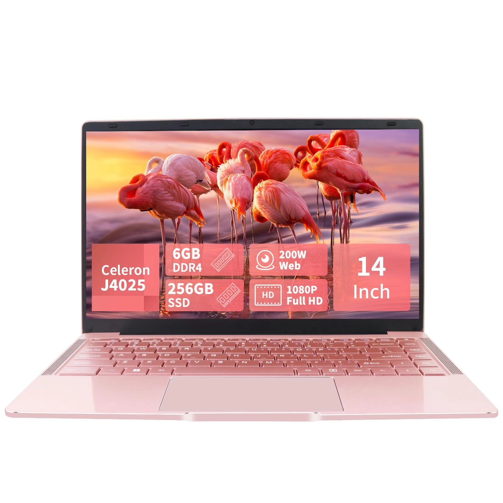 Celeron J4025 - 14'' 256GB 6GB