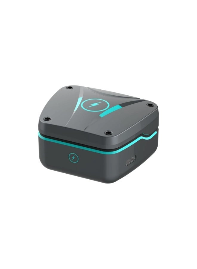 PDX419 Wireless Earbud