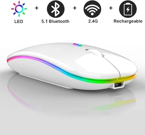 Rechargeable Ergonomic Mouse - 2.4GHz Wireless Bluetooth USB