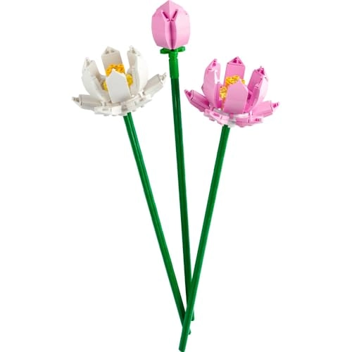 Lotus Flowers (40647) - Iconic