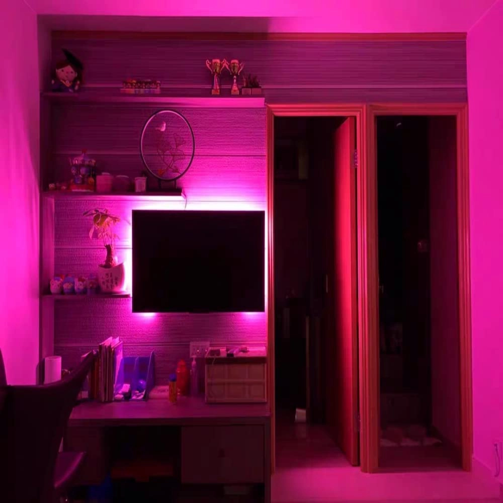 Led Neon Strip Lights - 5M