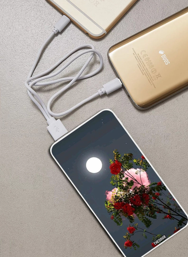 PPBA366 - 10000mAh 18W