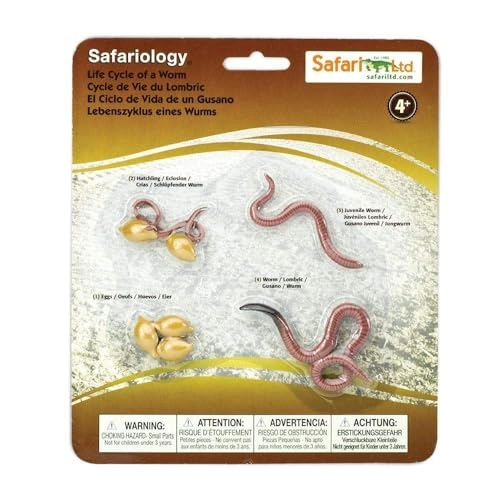 Safari Ltd Life Cycle of a Worm Set - 4 years+