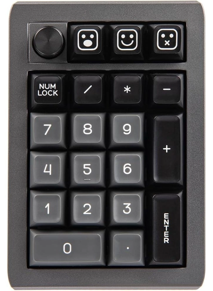 EK21 - Flamingo Switch