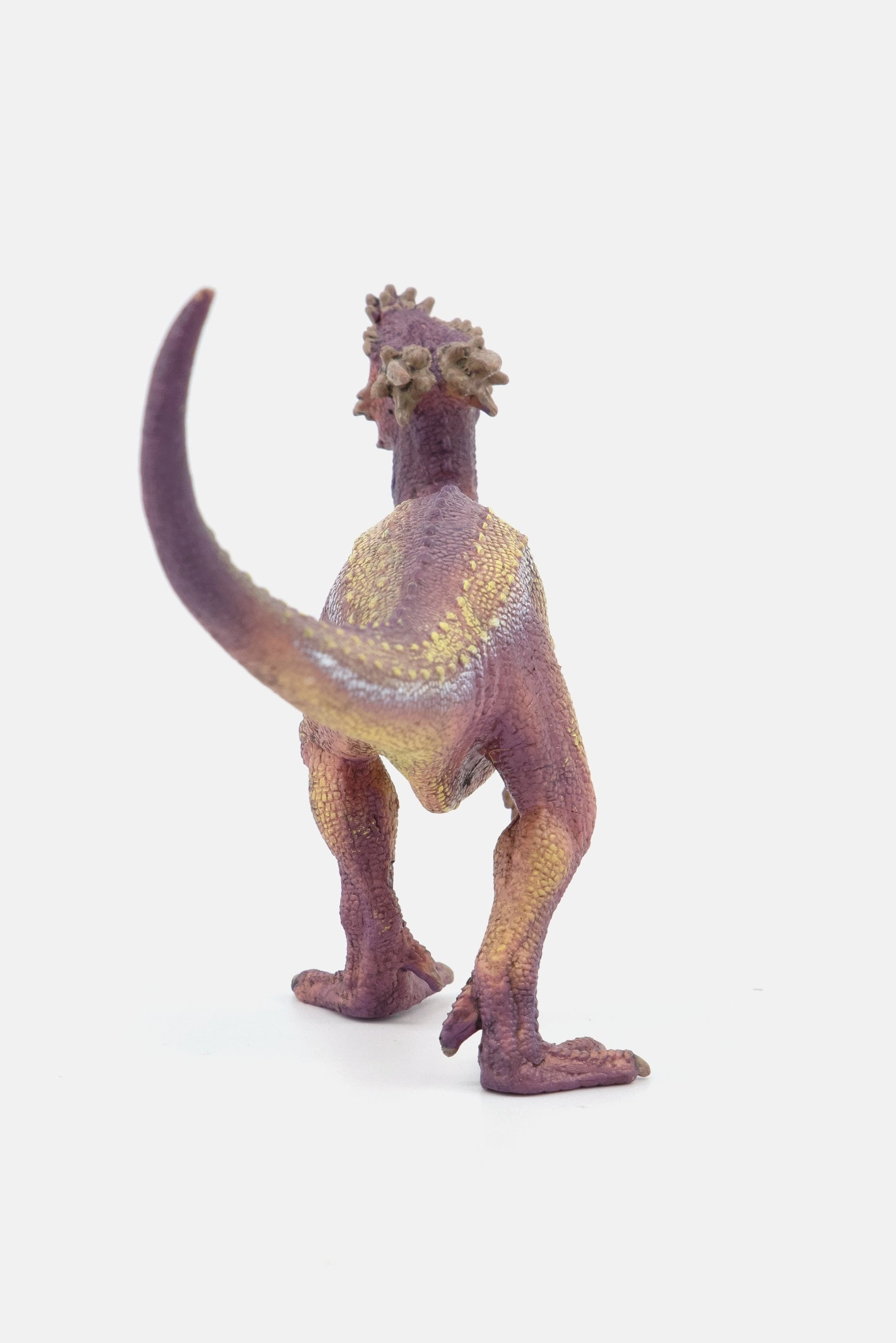 Dracorex - 4+ Years No Character