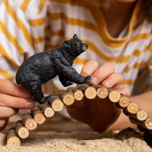 American Black Bear - 4+
