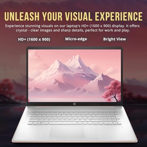 17.3 HD+ BrightView Laptop - 17.3'' 512GB 8GB Celeron N4120