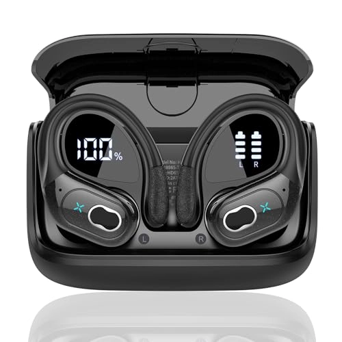 AI Translation Earbuds - 164 languages