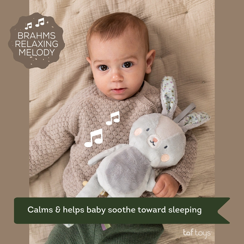 Rylee Musical Bunny - 0 Months & Above ultra-soft fabric