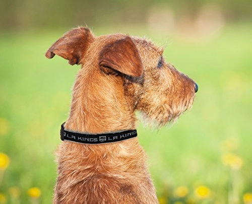 Los Angeles Kings Collar - L Dogs & Cats