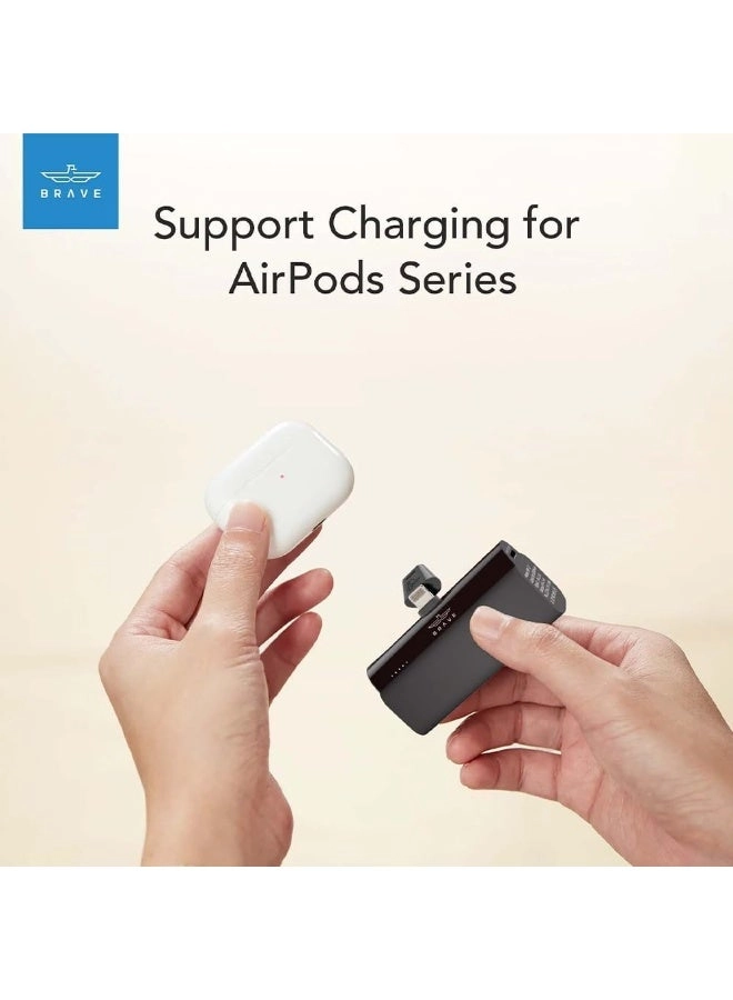 Mini - 5000 Watt-hour 20 Watt