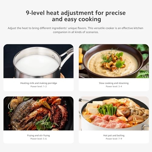 Induction Cooker Lite UK Induction hob