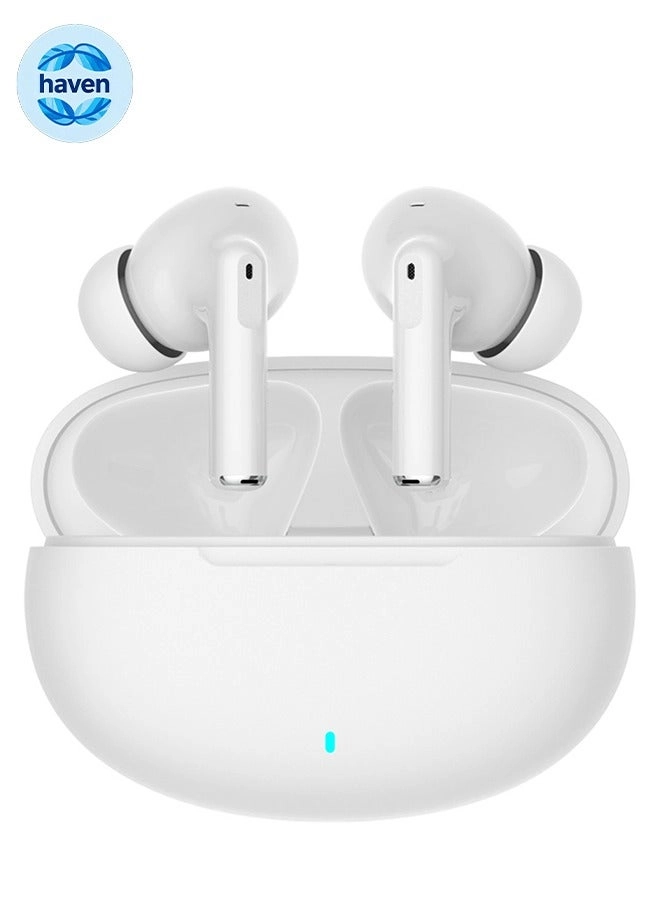 HAVEN D18-TWS Wireless Earbud