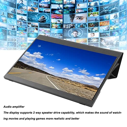 PM 1731M - 1920x1080P 17.3 Inch